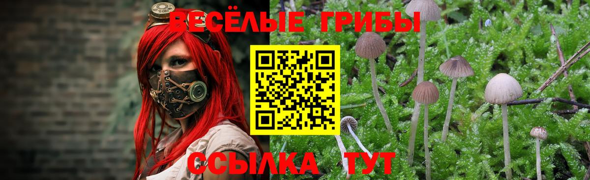 Псилоцибиновые грибы прущие грибы  Галлюциногенные грибы Cubensis  Вход с VPN  Уссурийск 